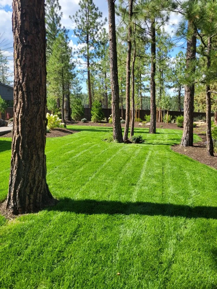 Reliable yard cleanup service in Bend, OR by Woodbyrne All Seasons Groundskeeping