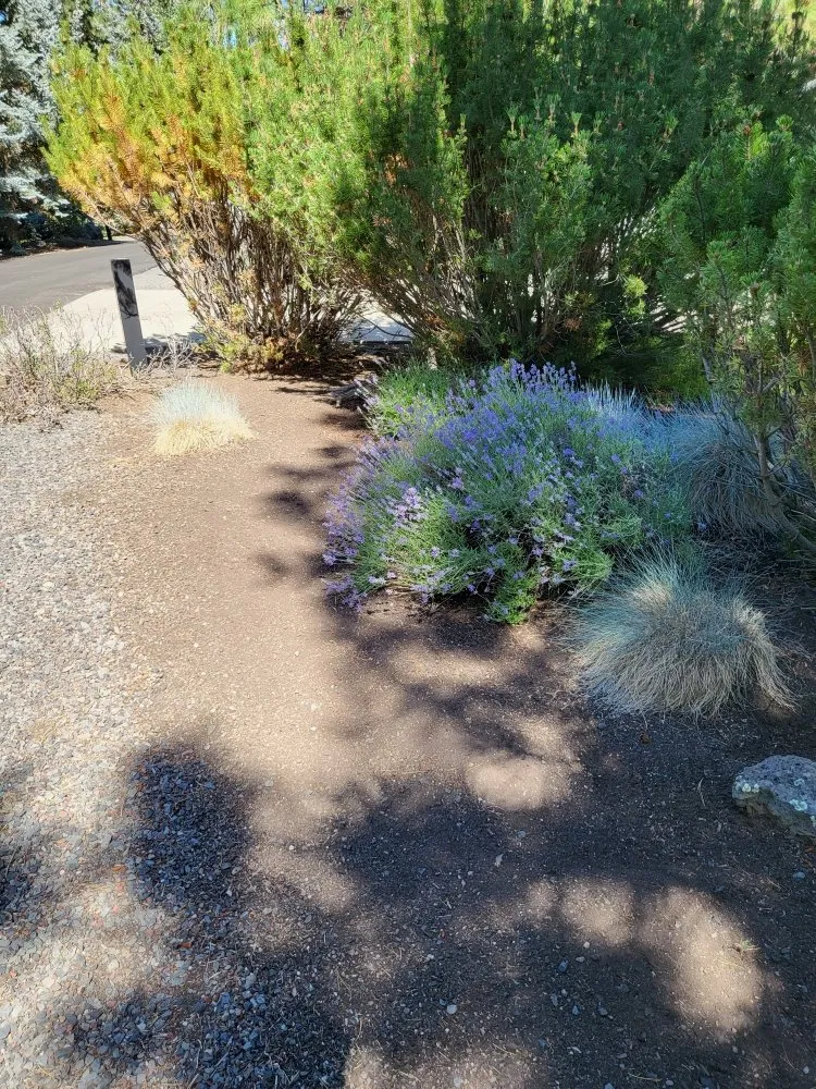 Local garden landscaping in Bend, OR - Woodbyrne All Seasons Groundskeeping