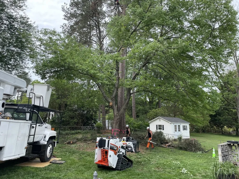 Affordable yard cleanup service in Bumpass, VA by Woodchuck Lawn & Tree