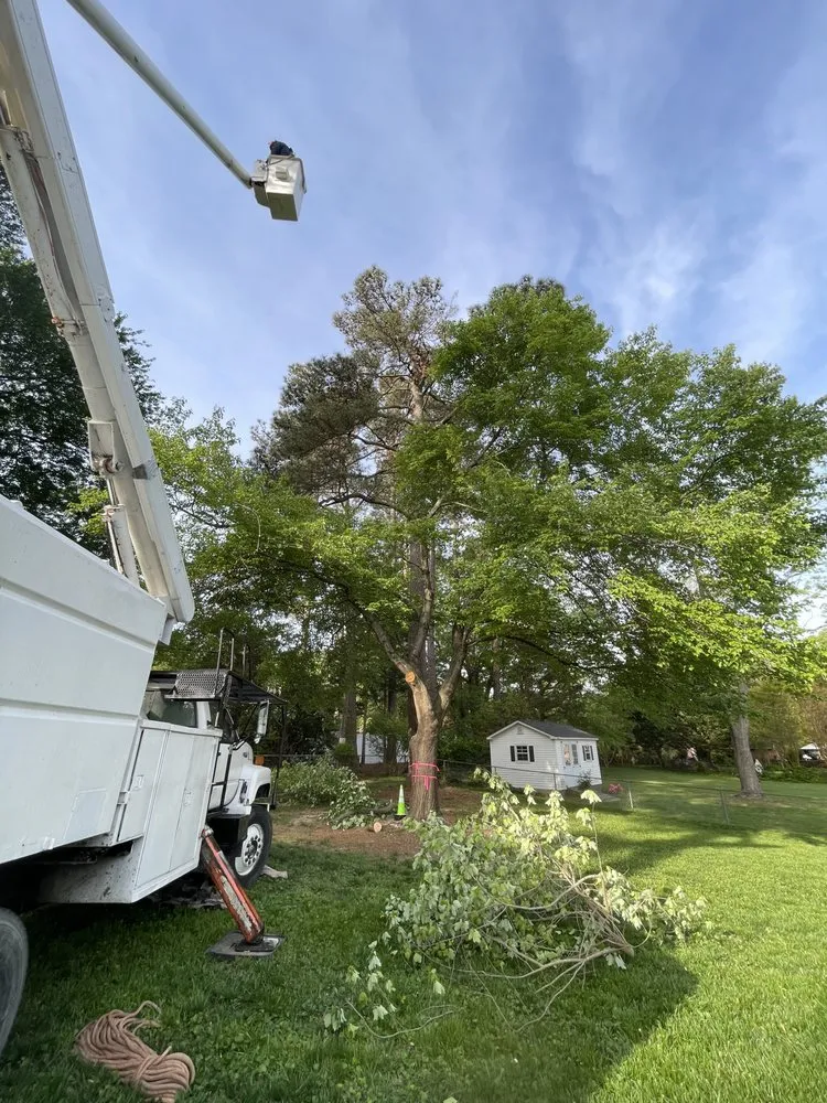 Reliable garden landscaping in Bumpass, VA - Woodchuck Lawn & Tree