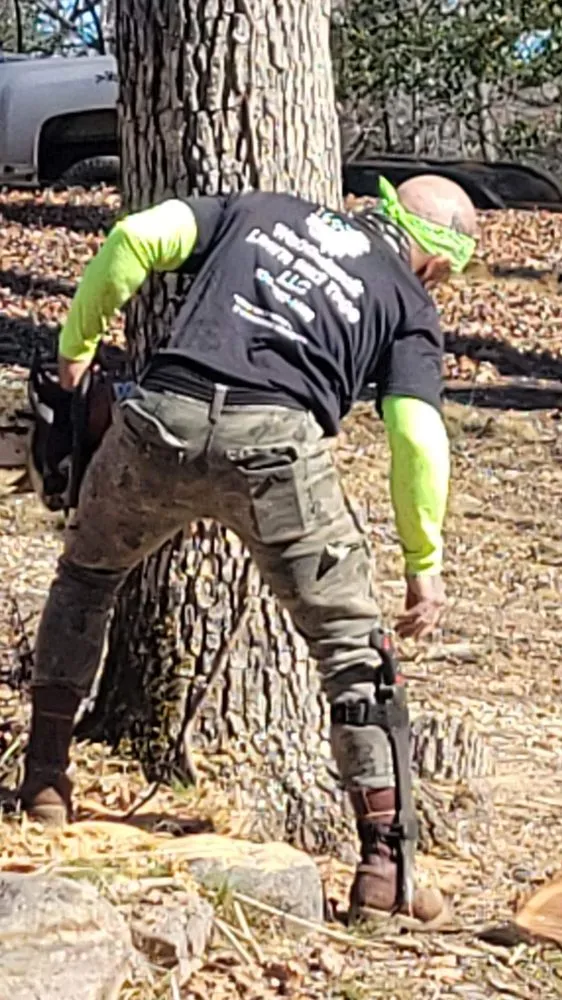 Affordable landscaping services for homes across Bumpass, VA - Woodchuck Lawn & Tree