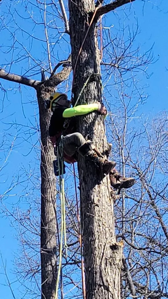 Trusted garden landscaping for beautiful yards across Bumpass, VA - Woodchuck Lawn & Tree