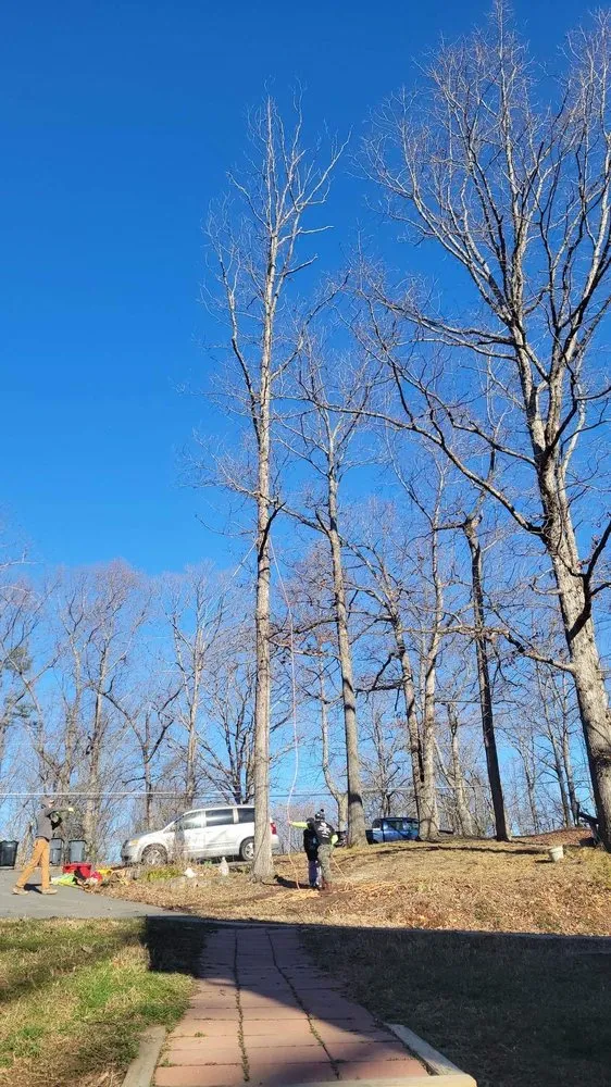 Professional residential landscaping in Bumpass, VA by Woodchuck Lawn & Tree