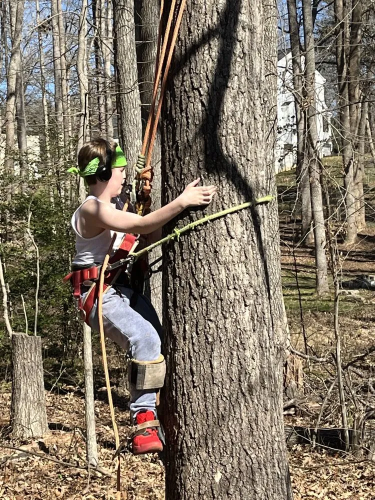 Reliable landscape installation experts serving Bumpass, VA - Woodchuck Lawn & Tree