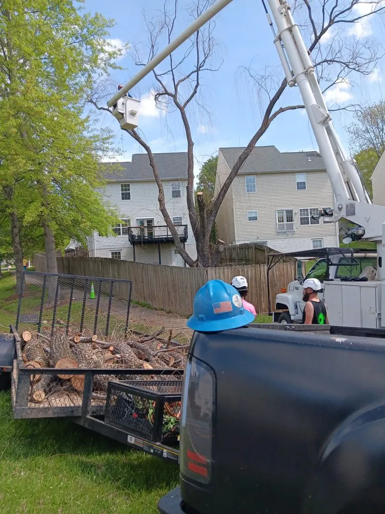 Reliable landscape installation in Bumpass, VA by Woodchuck Lawn & Tree