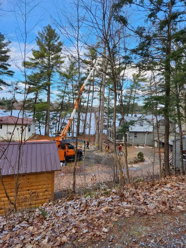 Expert yard maintenance experts serving Hammond, NY - Woodchuckers Tree Removal