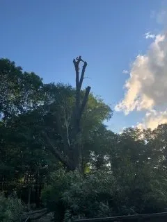 Affordable lawn mowing service near you in Hammond, NY by Woodchuckers Tree Removal