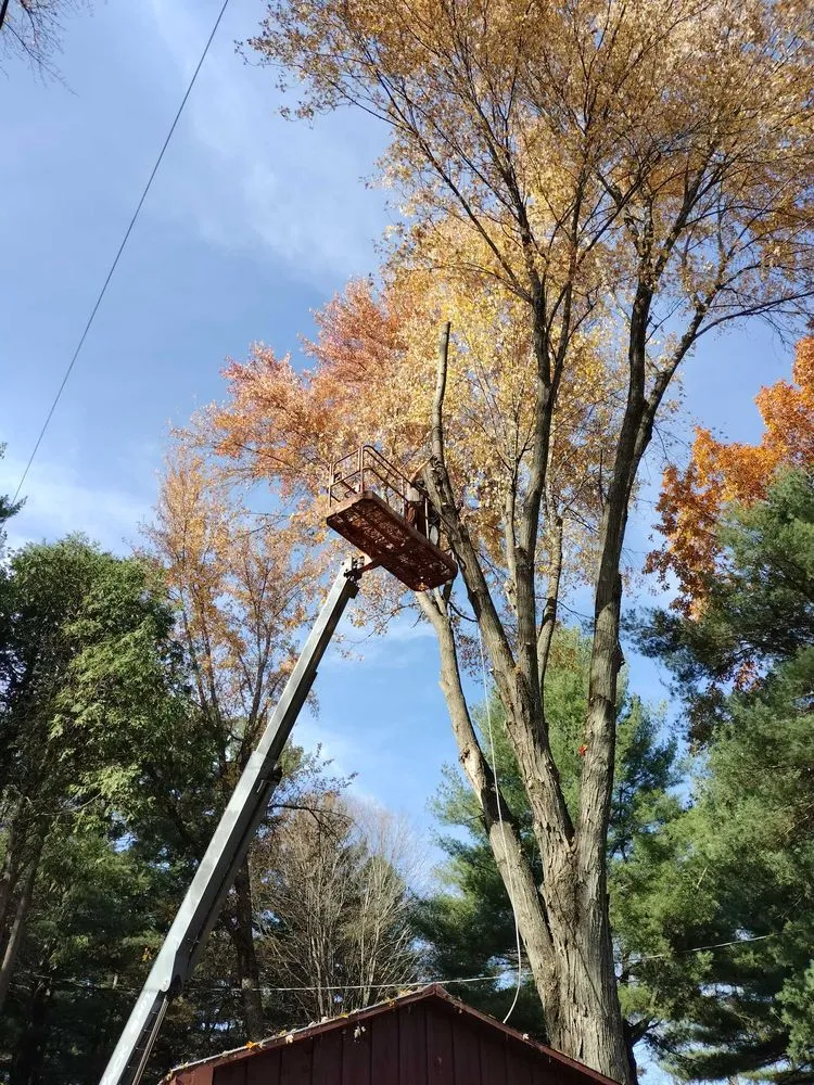 Top-rated landscaping services for year-round maintenance in Hammond, NY by Woodchuckers Tree Removal