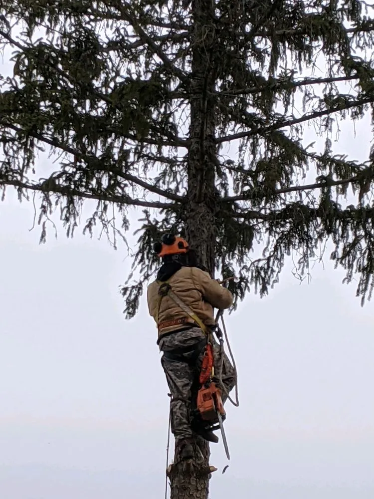 Custom landscaping services for year-round maintenance across Hammond, NY - Woodchuckers Tree Removal
