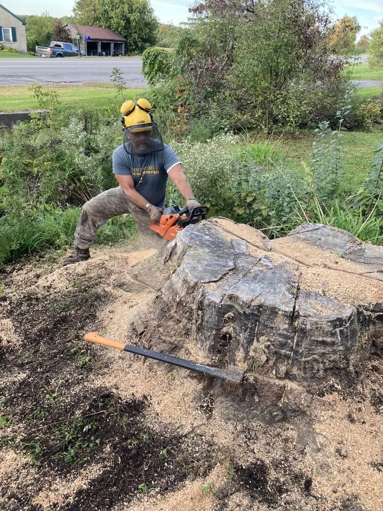 Affordable yard cleanup service in Hammond, NY - Woodchuckers Tree Removal