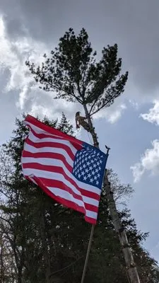 Woodchuckers Tree Removal