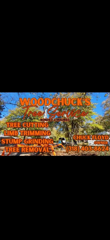 Professional yard maintenance in Jonesville, LA by WoodChuck's Tree Service