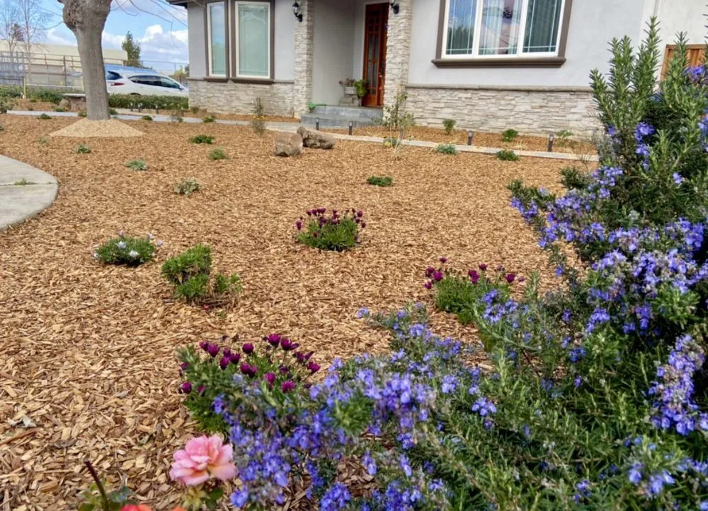 Affordable landscaping services for beautiful yards in Fullerton, CA by Woodcrest Landscaping