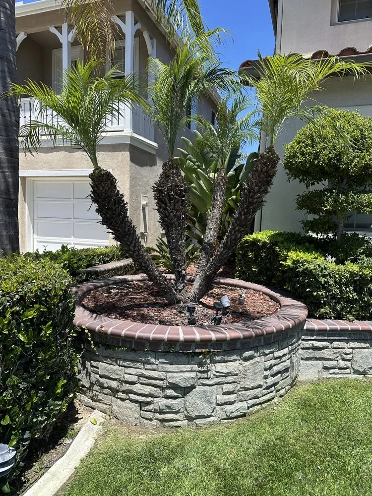 Local yard maintenance for residential properties across Fullerton, CA - Woodcrest Landscaping