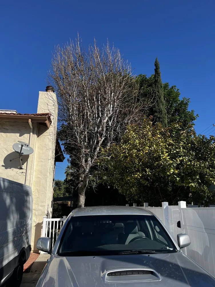 Top-rated residential landscaping experts serving Fullerton, CA - Woodcrest Landscaping