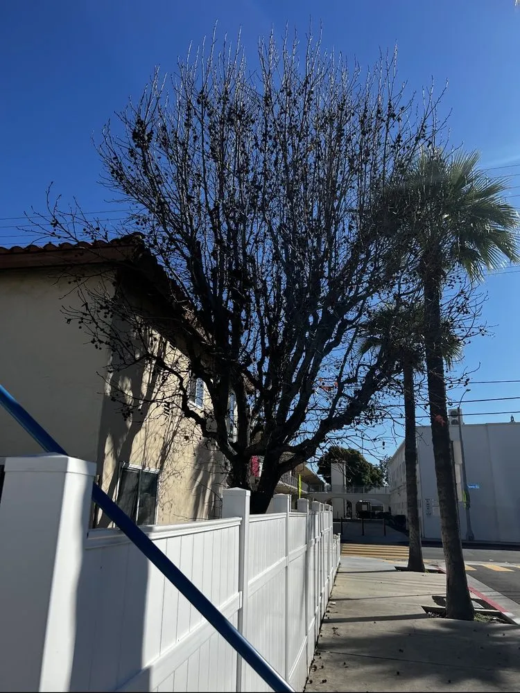 Trusted yard maintenance for homes in Fullerton, CA by Woodcrest Landscaping