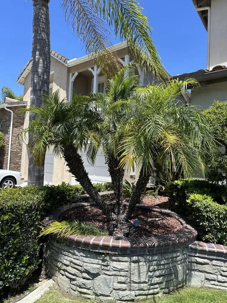 Affordable landscaping services for residential properties across Fullerton, CA - Woodcrest Landscaping