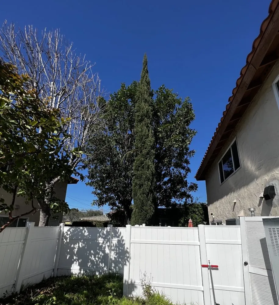 Professional yard cleanup service experts serving Fullerton, CA - Woodcrest Landscaping