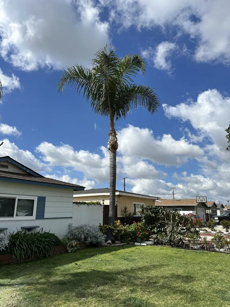 Local landscaping services in Fullerton, CA by Woodcrest Landscaping