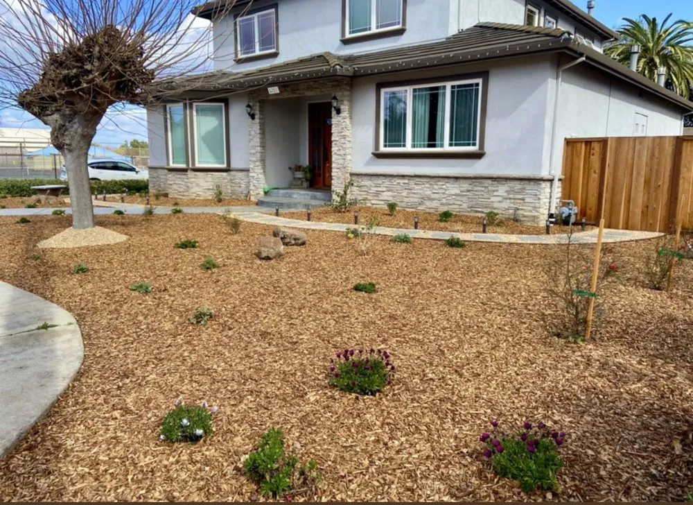 Custom yard maintenance for year-round maintenance across Fullerton, CA - Woodcrest Landscaping