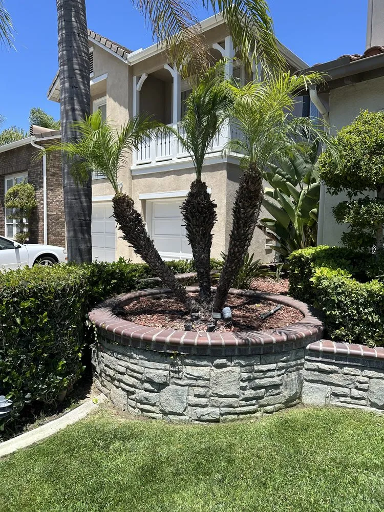 Professional yard maintenance in Fullerton, CA by Woodcrest Landscaping