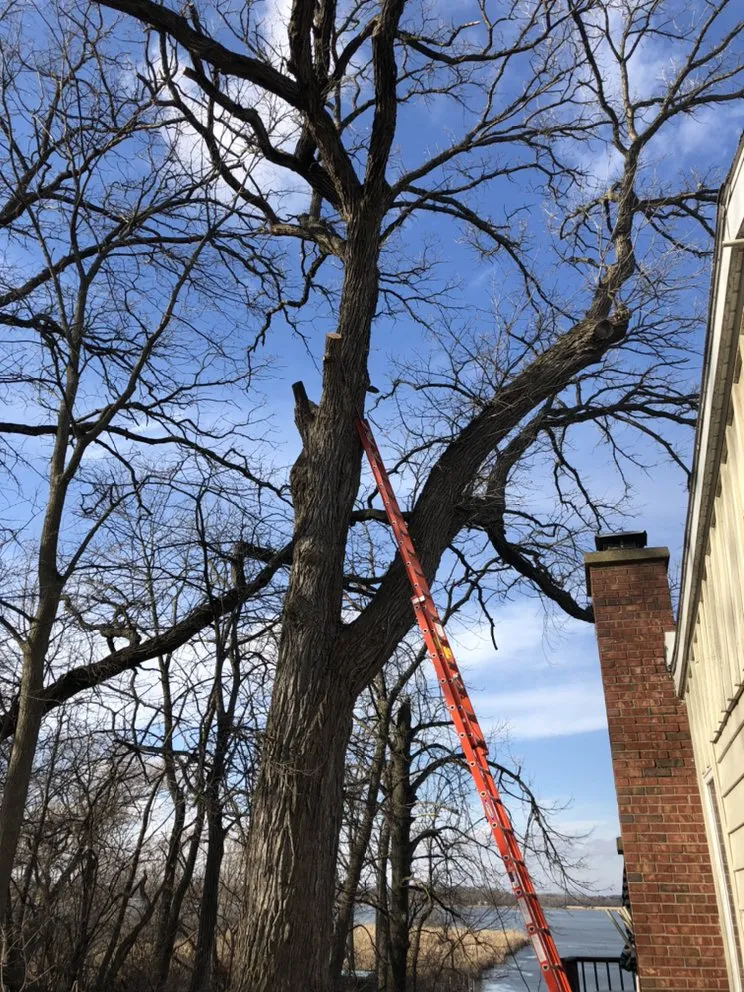 Local residential landscaping in East Troy, WI by WOODEE'S Tree Service