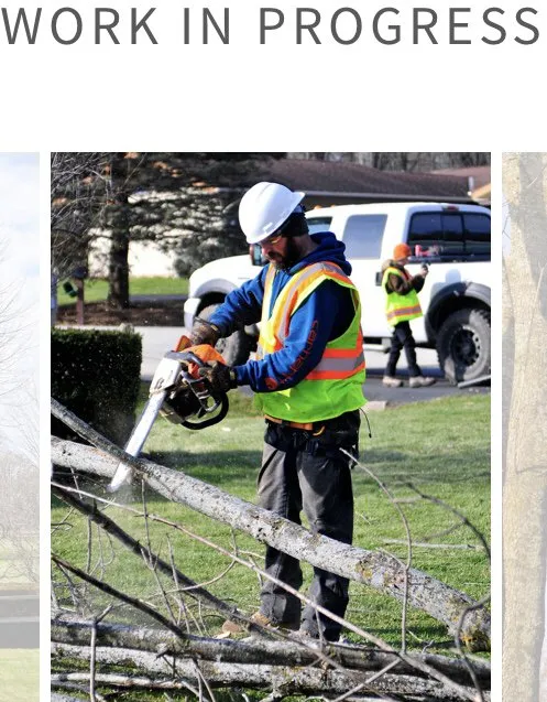 Reliable yard cleanup service in East Troy, WI - WOODEE'S Tree Service