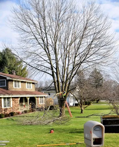 Top-rated garden landscaping for residential properties in East Troy, WI by WOODEE'S Tree Service