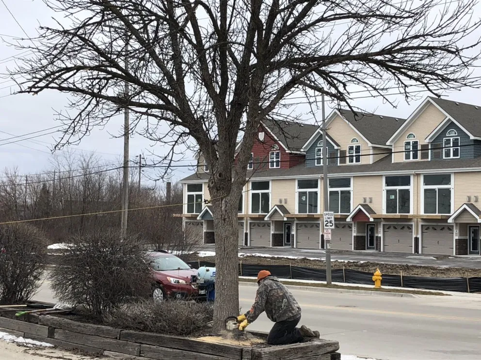 Expert residential landscaping for homes across East Troy, WI - WOODEE'S Tree Service