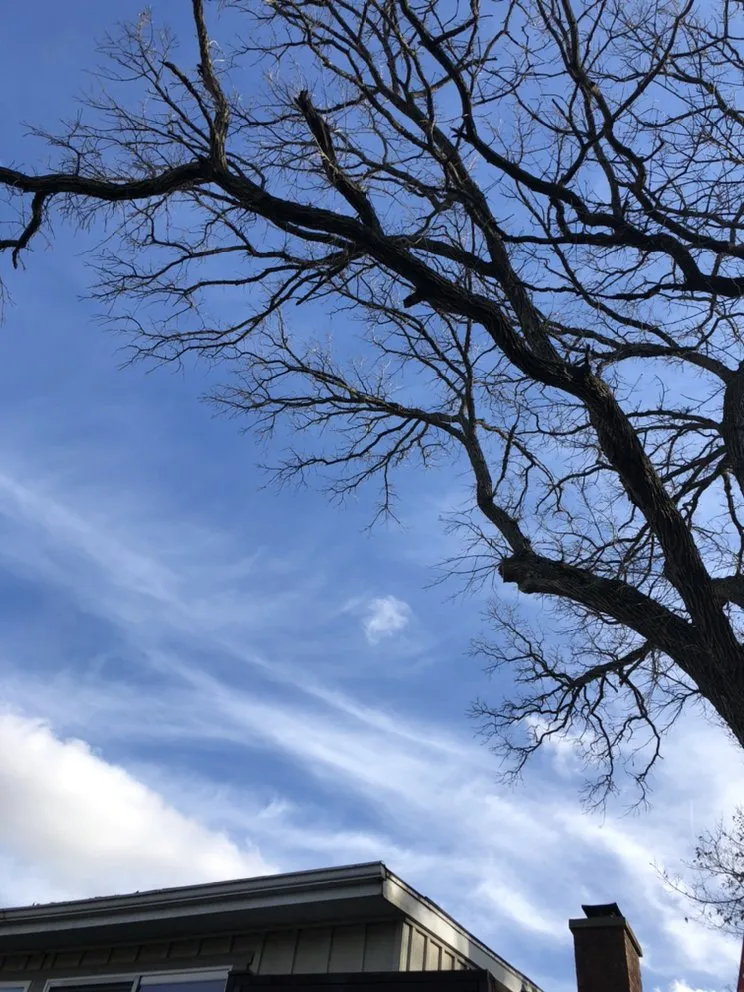 Affordable garden landscaping for residential properties in East Troy, WI by WOODEE'S Tree Service