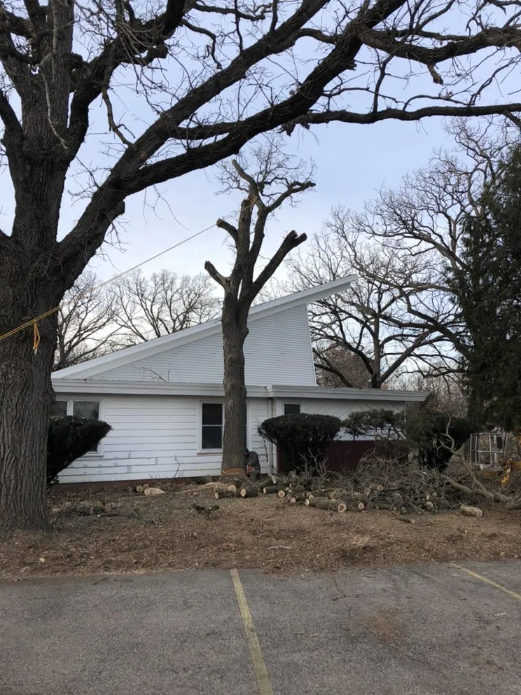 Affordable lawn mowing service experts serving East Troy, WI - WOODEE'S Tree Service