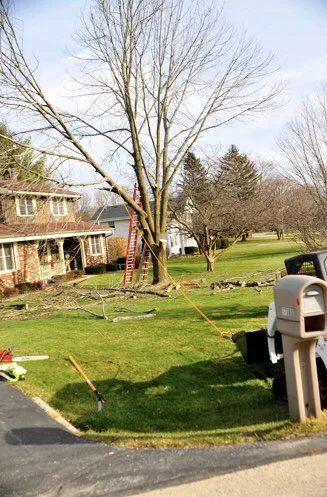 Reliable garden landscaping for beautiful yards across East Troy, WI - WOODEE'S Tree Service