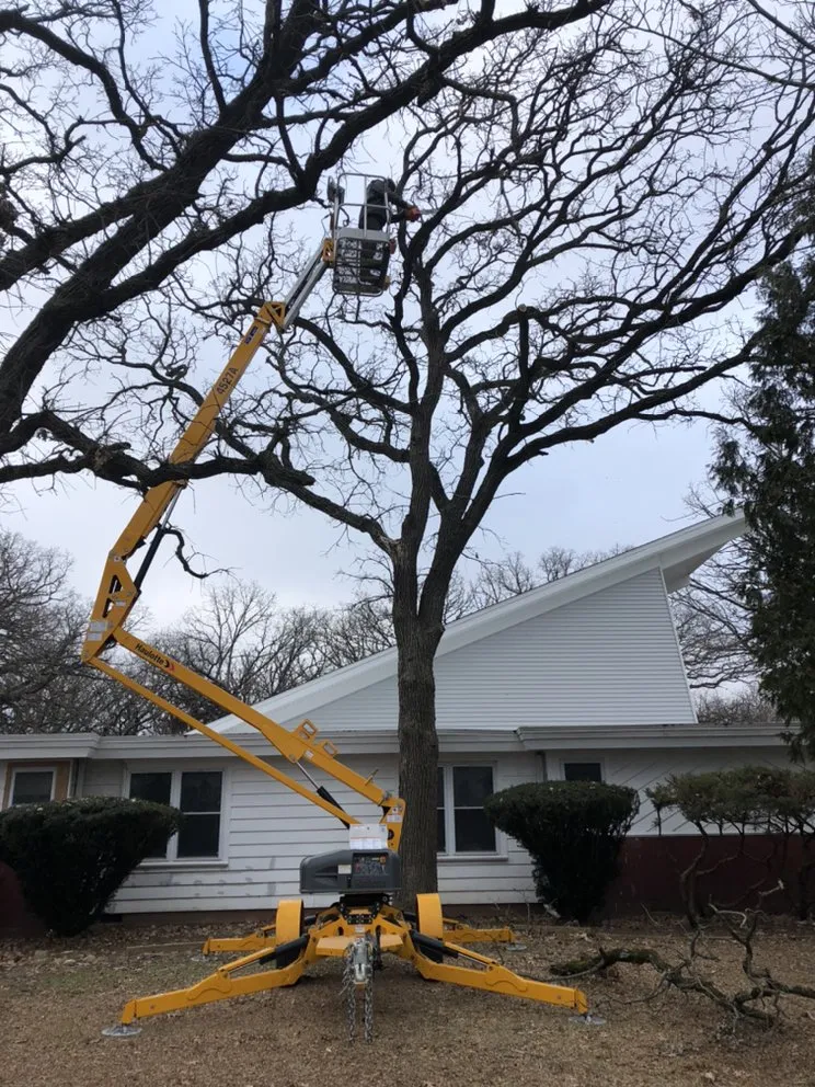 Custom landscape design for year-round maintenance in East Troy, WI by WOODEE'S Tree Service