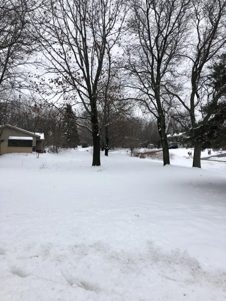 Expert garden landscaping in East Troy, WI by WOODEE'S Tree Service