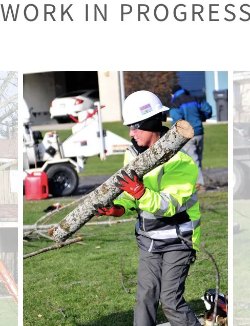 Reliable lawn mowing service for residential properties across East Troy, WI - WOODEE'S Tree Service