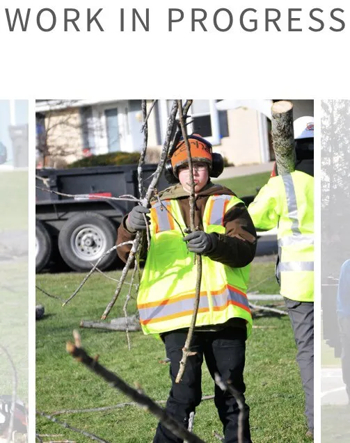 Local yard maintenance with custom design in East Troy, WI by WOODEE'S Tree Service