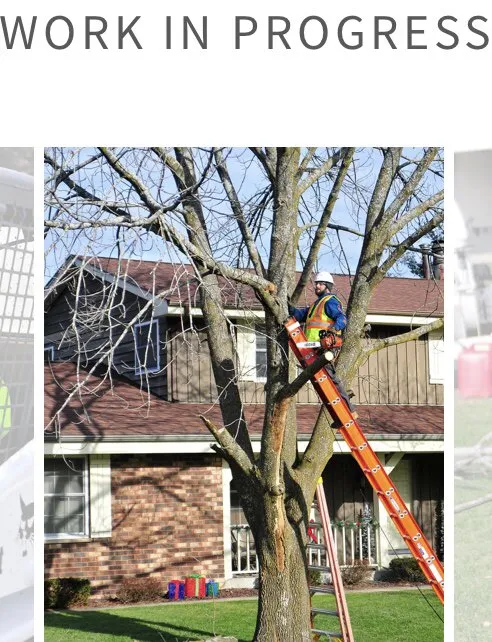 Trusted lawn care service for beautiful yards in East Troy, WI by WOODEE'S Tree Service