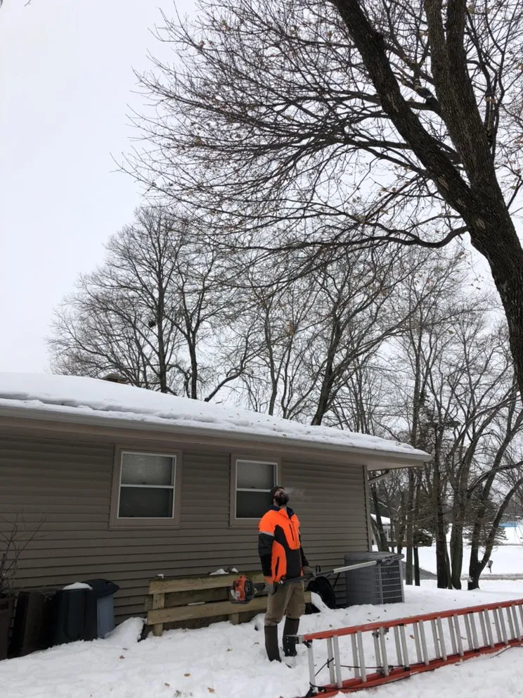 Professional landscape design experts serving East Troy, WI - WOODEE'S Tree Service