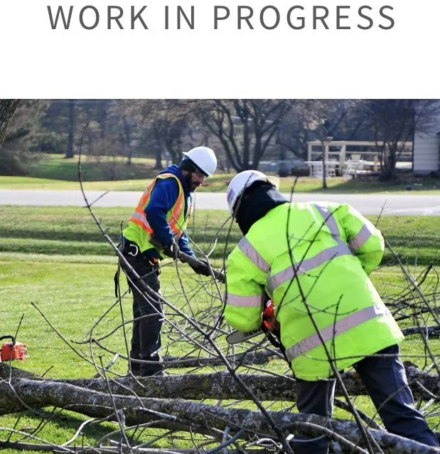 Trusted lawn care service in East Troy, WI by WOODEE'S Tree Service