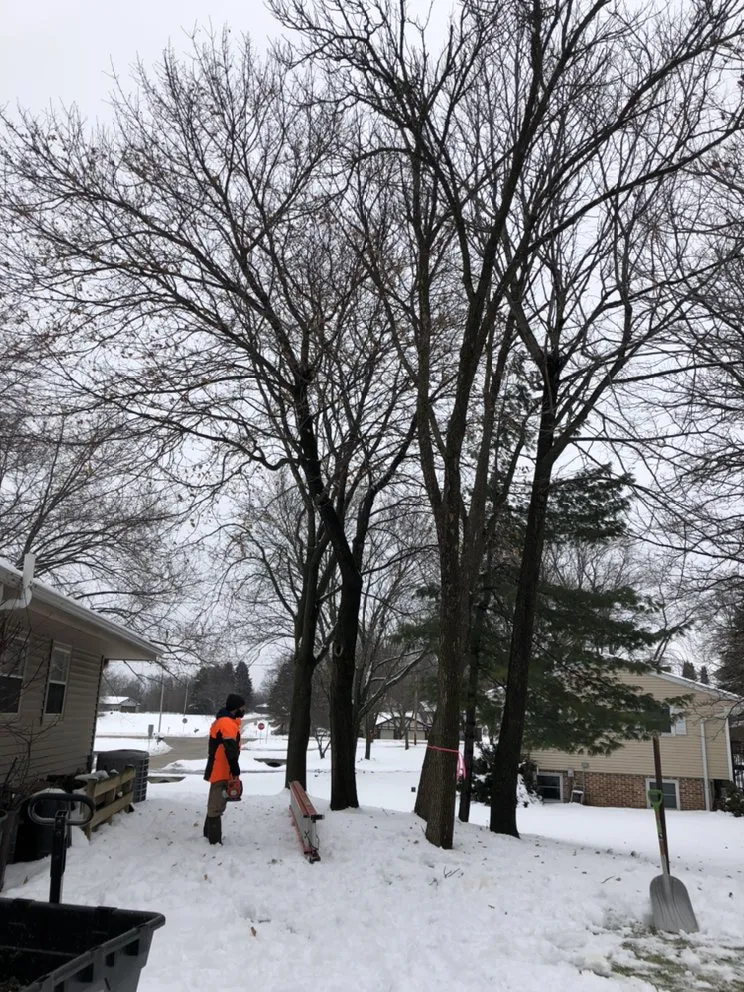 Top-rated yard cleanup service for homes across East Troy, WI - WOODEE'S Tree Service