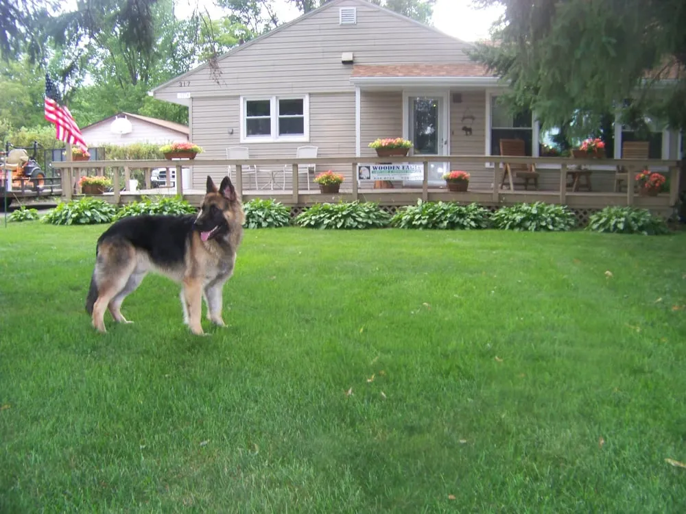 Trusted landscaping services in Hayward, WI by Wooden Eagle Lawn Care & Property Services LLC