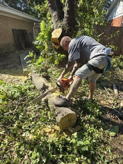 Affordable landscape design for residential properties in Mabank, TX by Woodgrain Tree Service & Services