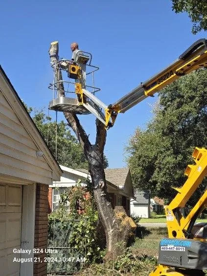 Affordable garden landscaping for homes across Mabank, TX - Woodgrain Tree Service & Services