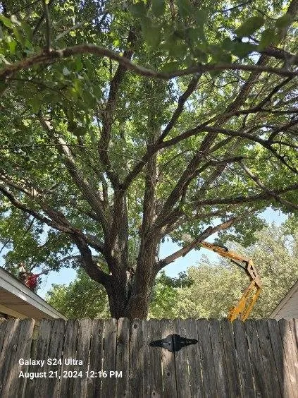 Local lawn mowing service for residential properties in Mabank, TX by Woodgrain Tree Service & Services