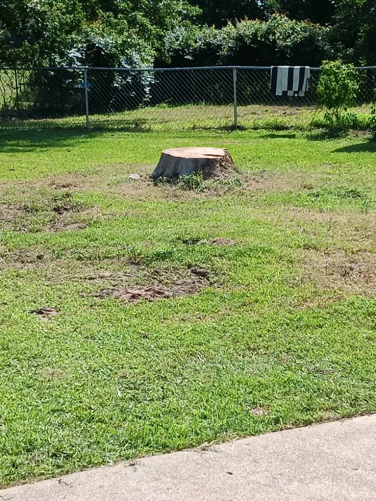 Expert landscaping services experts serving Mabank, TX - Woodgrain Tree Service & Services