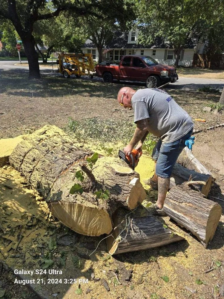 Custom landscape design experts serving Mabank, TX - Woodgrain Tree Service & Services