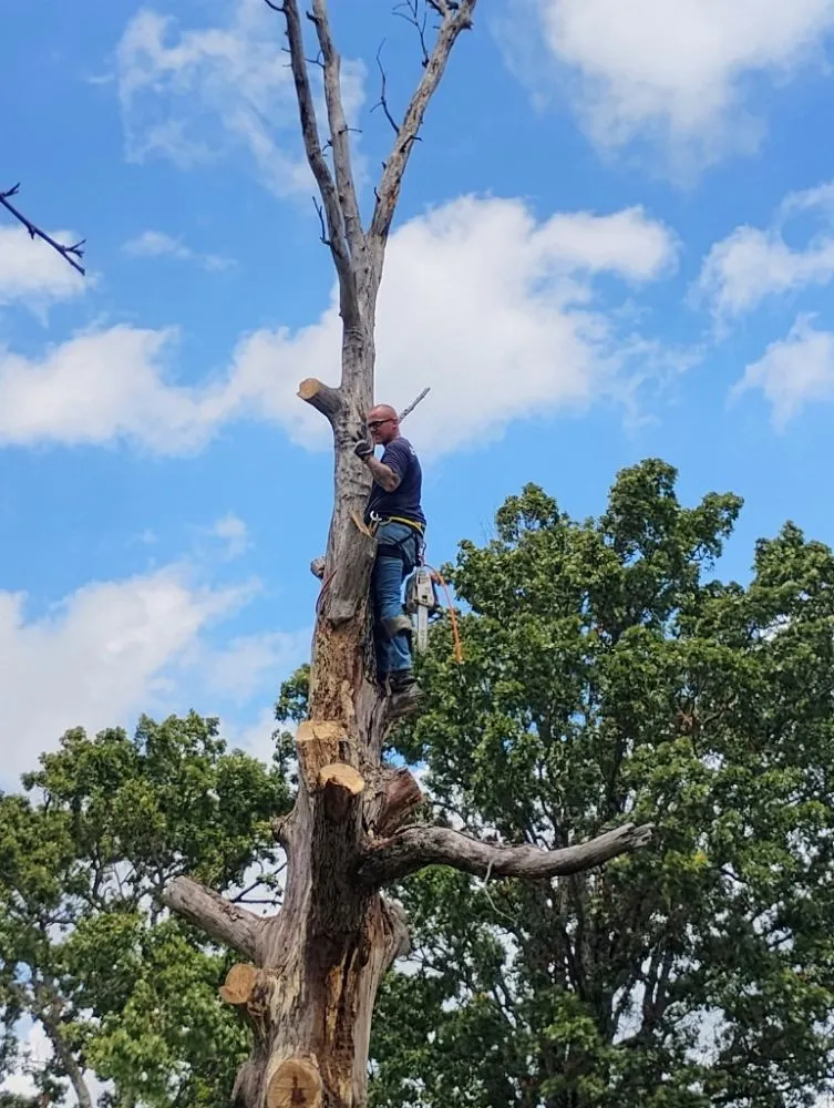 Local lawn care service in Mabank, TX by Woodgrain Tree Service & Services