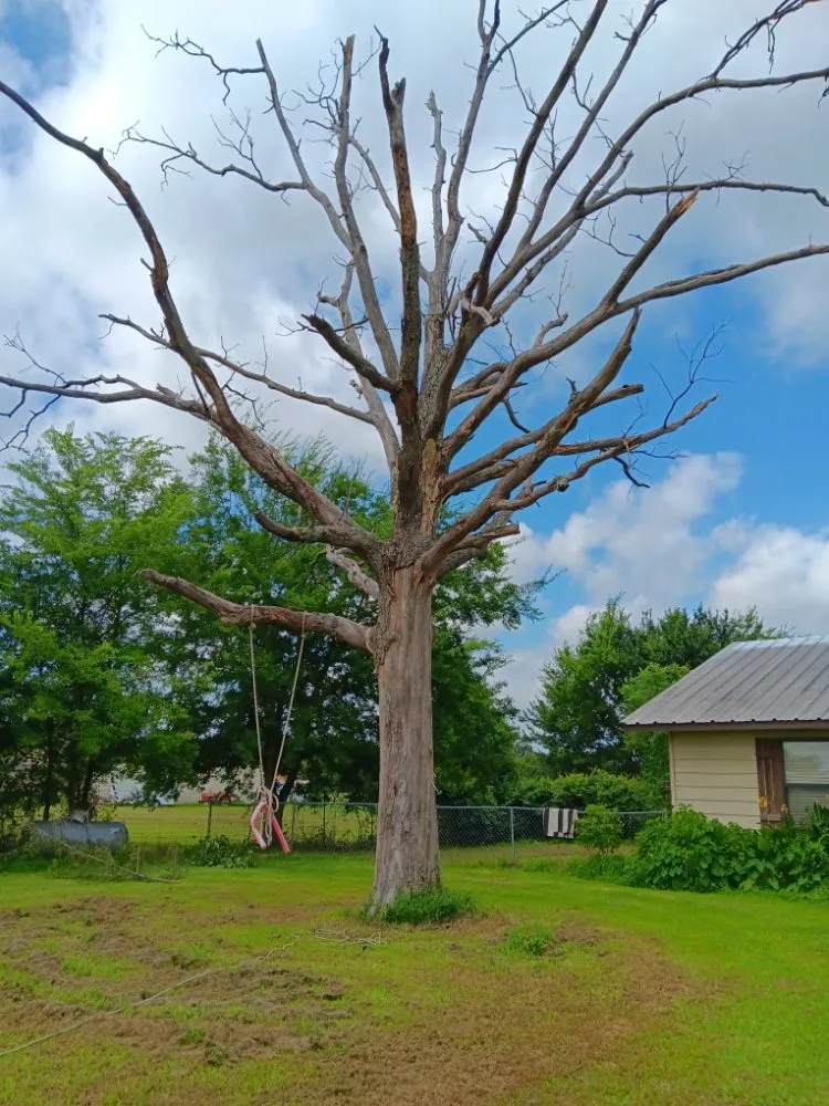 Affordable lawn mowing service for homes in Mabank, TX by Woodgrain Tree Service & Services