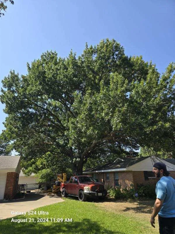 Professional residential landscaping for outdoor upgrades in Mabank, TX by Woodgrain Tree Service & Services