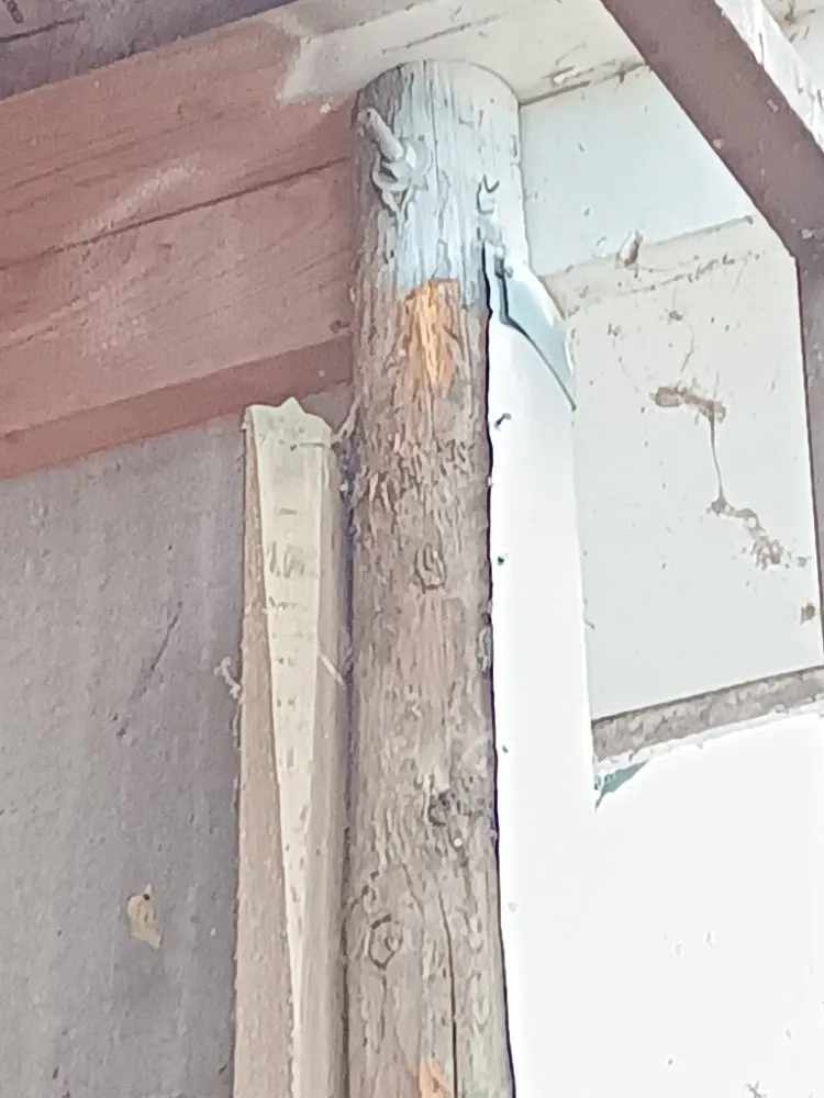 Reliable residential landscaping for homes across Mabank, TX - Woodgrain Tree Service & Services